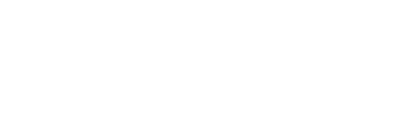 Strategy Minds